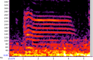 Spectogram of the rumble